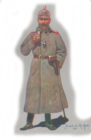 Militaer FAR49 Wachtmeister.jpg