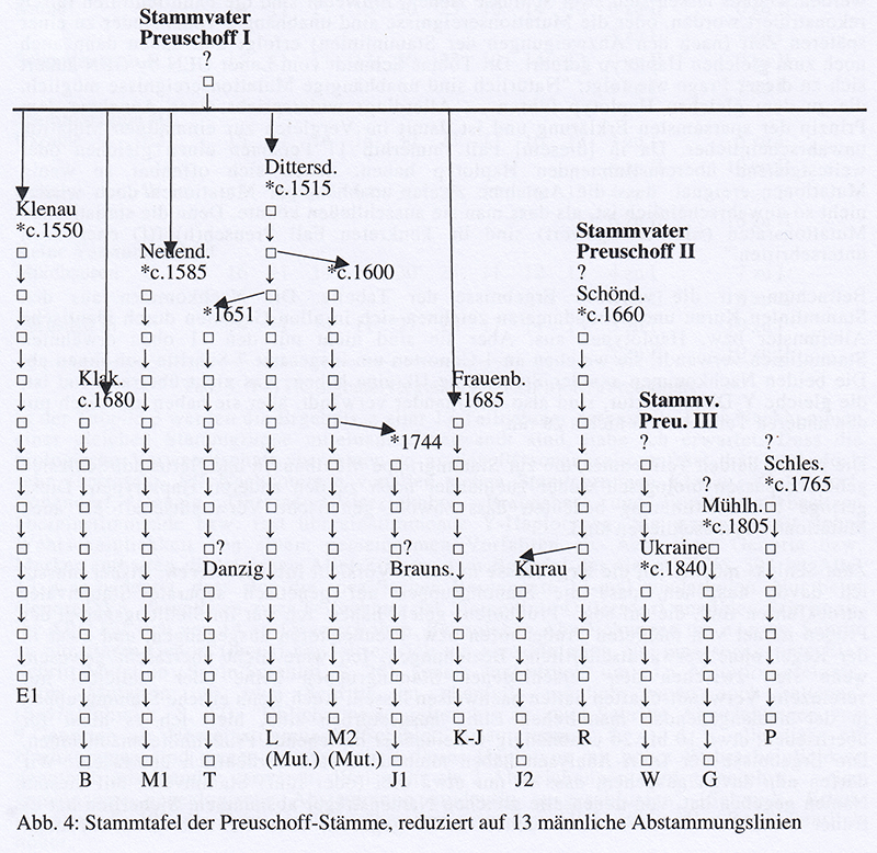 Preuschoff-DNA-Abb4.jpg