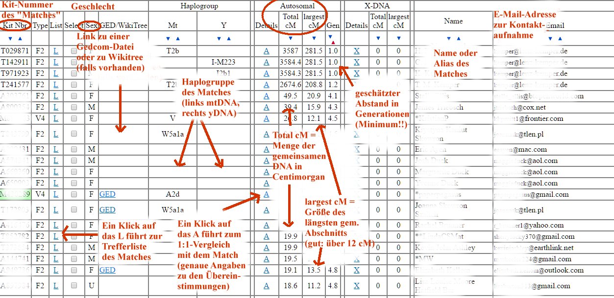 Gedmatch-1.jpg