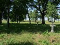 12.07.2010Friedhof Timstern009.JPG