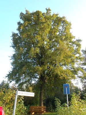 Roedinghausen Kriegerdenkmal Friedenseiche Schwenningdorf-01.jpg