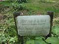 05.07.2010Friedhof Klein Grabuppen015.JPG