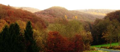 Blick zur Gelsterburg bei Weißenbach