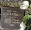 Ludwig Motulski