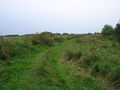 Blick vom Friedhof auf den Weg zur Krakerorther Lank