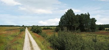 Landschaft bei Trappönen