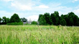 Holzkruez am ehemaligen Standort der ev. Kirche in Schirwindt