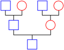 Family tree1.svg