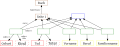 Vorschaubild der Version vom 14:27, 27. Nov. 2007