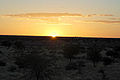 Kalahari "Sundowner" Sonnenuntergang