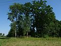 11.07.2010Friedhof AltStremehnen002.JPG