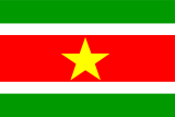 Flag suriname.svg