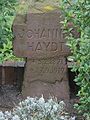 Johannes Haydt *5.2.1871 †27.9.1919