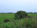 Blick vom Weg am Friedhof