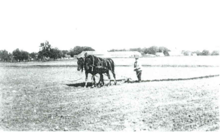 Foto: Pflügen mit Schwingpflug in Ostpreußen, Quelle: Hans Bloech, Ostpreußens Landwirtschaft, Teil 1