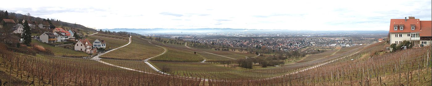 Ansicht von Ötlingen auf Haltingen und weiter bis Basel