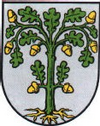 Wappen von Rinnthal.png