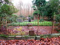 Waldfriedhof im Wellen