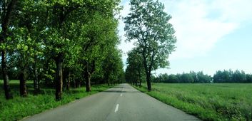 Landstraße nach Girschunen, von Süden kommend