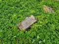 Friedhof Meszeln 7.jpg