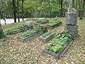 Friedhof Bardehnen3.JPG