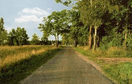 Landstraße von Mädewald nach Plaschken