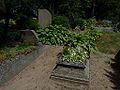 09.07.2010Friedhof Wersmeningken014.JPG