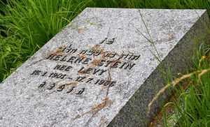 JüdFriedhof-Wissembourg 0890.JPG