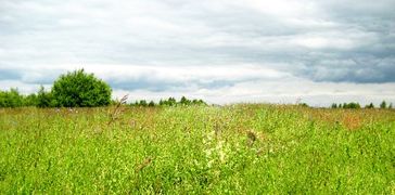 Landschaft bei Mussaten