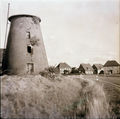 Windmühlenstumpf Heiden 1974