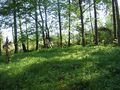 23.05.2012 KleinJaagschen Friedhof 03.JPG