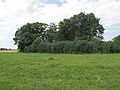 Friedhof Mankuslauken 1.jpg