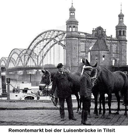 Tilsit Remontemarkt.jpg