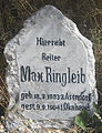 Max Ringleib *Asendorf