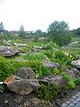 Steine, steinige Landschaft