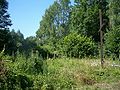 Blick über den Baltupöner Friedhof