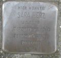 Sara Herz