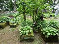 28.07.2010Friedhof Czutellen006.jpg