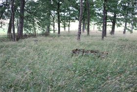 Friedhof Nattkischken13.jpg