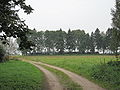 ;Rückblick auf Friedhof 1