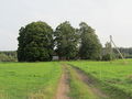 Memelland 2012 Bejehden 07.JPG