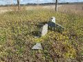 Friedhof Pleschkutten Gräber 2.jpg