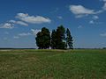 12.07.2010Friedhof AltDekinten002.JPG