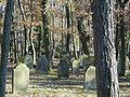 Ein Blick auf den Friedhof (Dez. 2005)