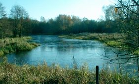 Ein Memel-Altarm bei Baltupöen, Memelland