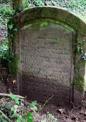 JüdFriedhof-Wissembourg 1025.JPG