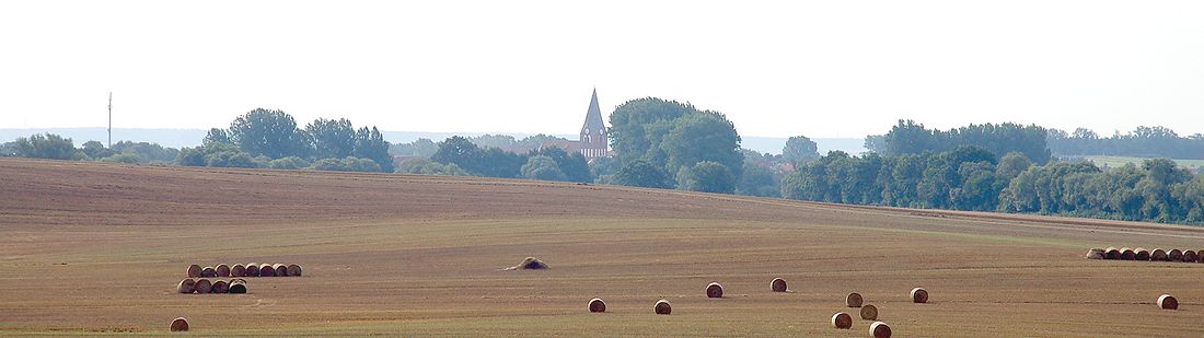 Ansicht auf Neukalen