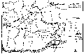 Mastholte Ostholte im hist.Pfarrbezirk von Liesborn