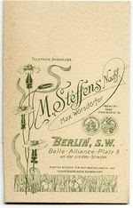 Steffens01b.jpg