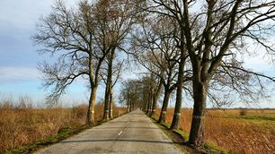 Landstraße nach Kallningken